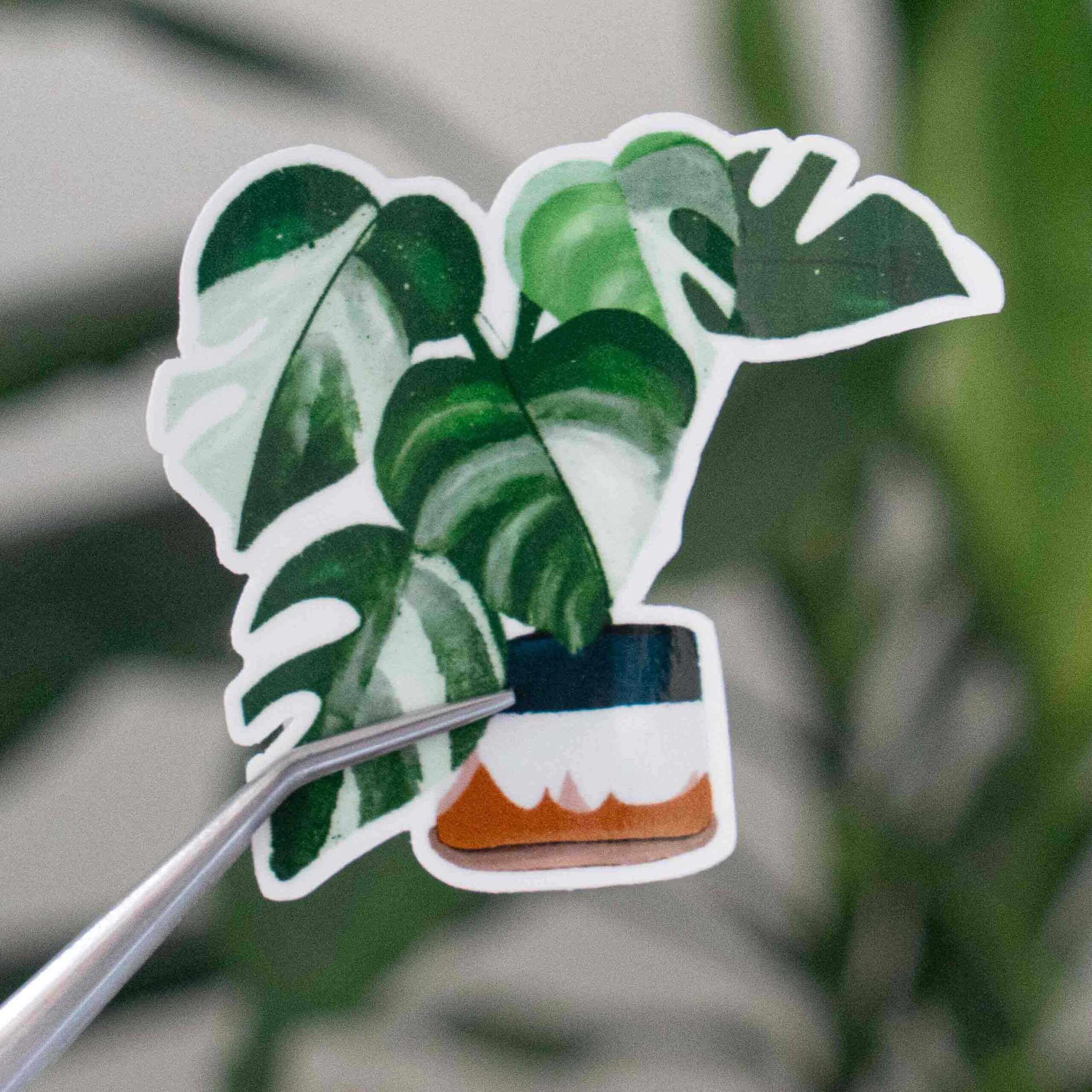 Monstera_Sticker